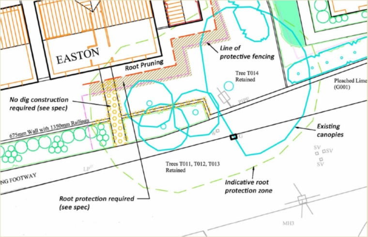 Tree protection plan - Chatteris (2011)